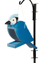 Load image into Gallery viewer, blue-jay-bird-feeder.jpg