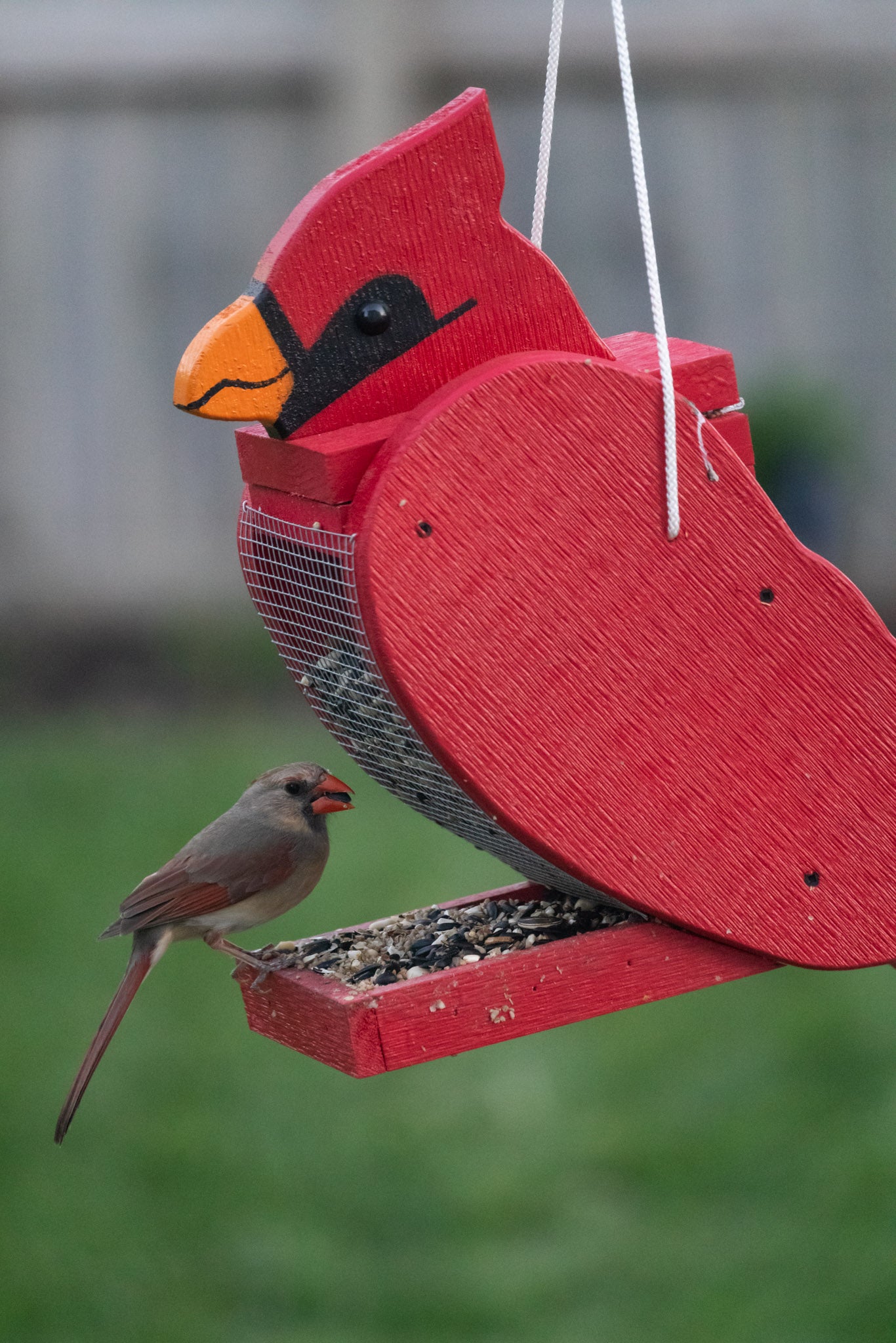 Amish-handcrafted Cardinal Bird Feeder