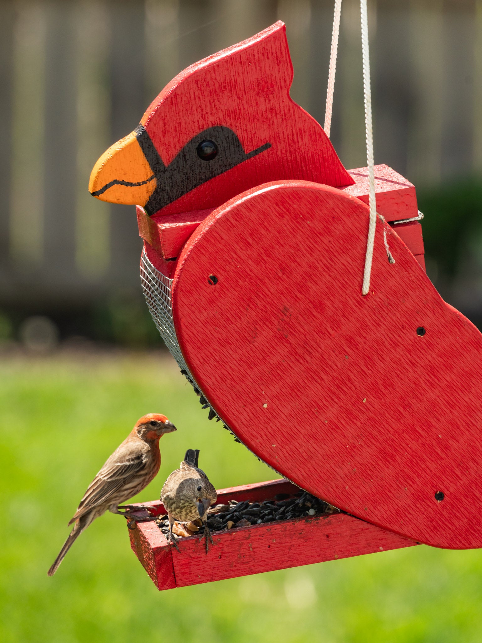 Amish-handcrafted Cardinal Bird Feeder