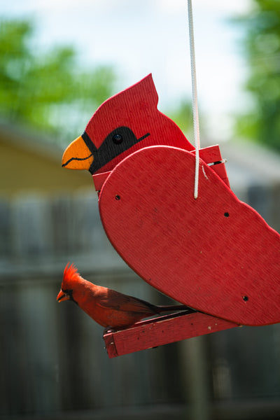 Cardinal Bird Feeder is hand crafted from finely milled aromatic red cedar hotsell and hangs from a rust resistant chain, it can be pole mounted