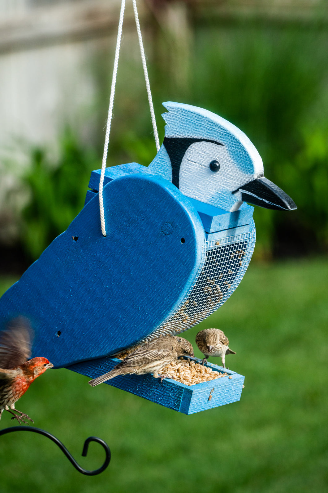 Amish-handcrafted Blue Jay Bird Feeder